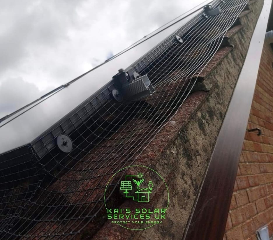 Bird-proofing mesh fitted around solar panels